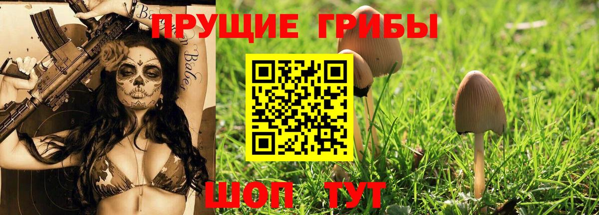 Галлюциногенные грибы MAGIC MUSHROOMS Бирск